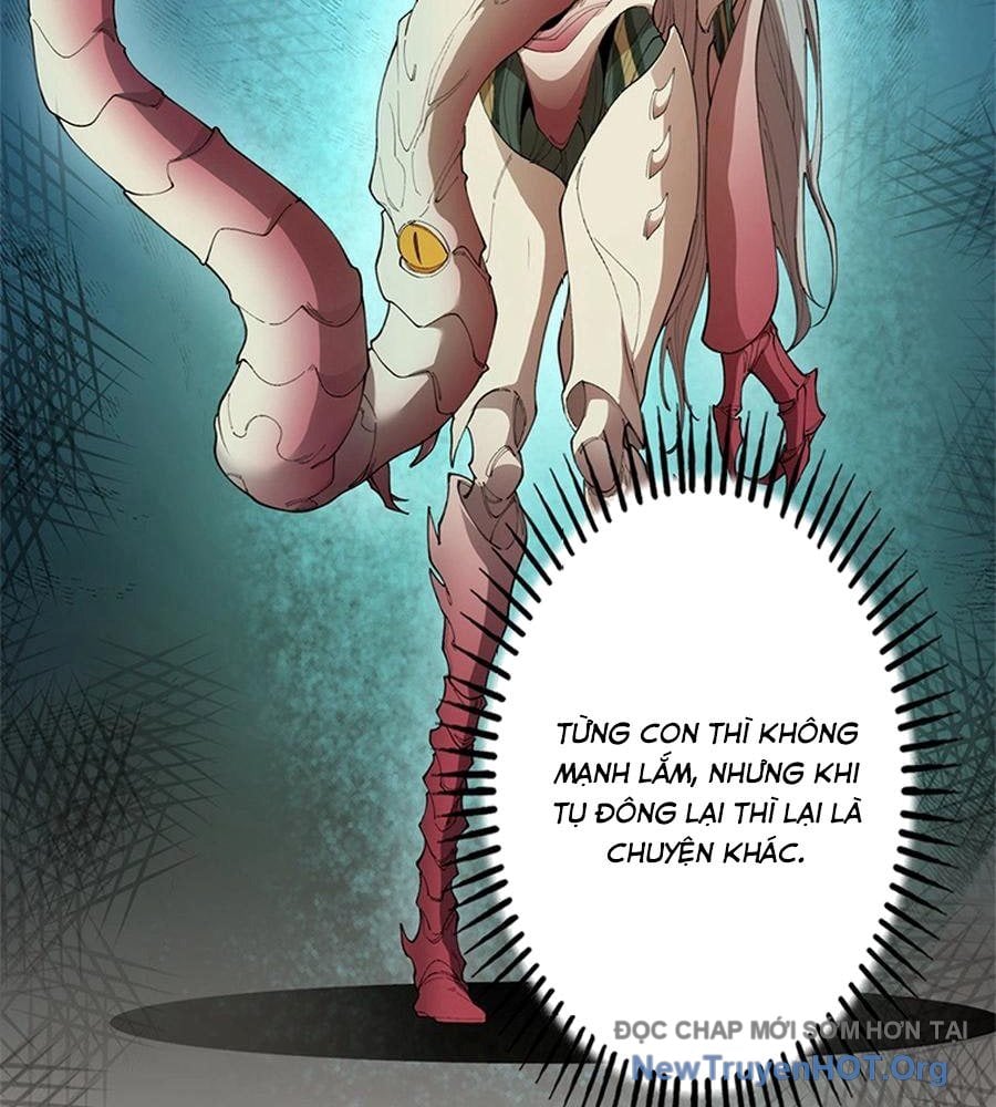 Ranker Sss Được Chọn: Chapter 9