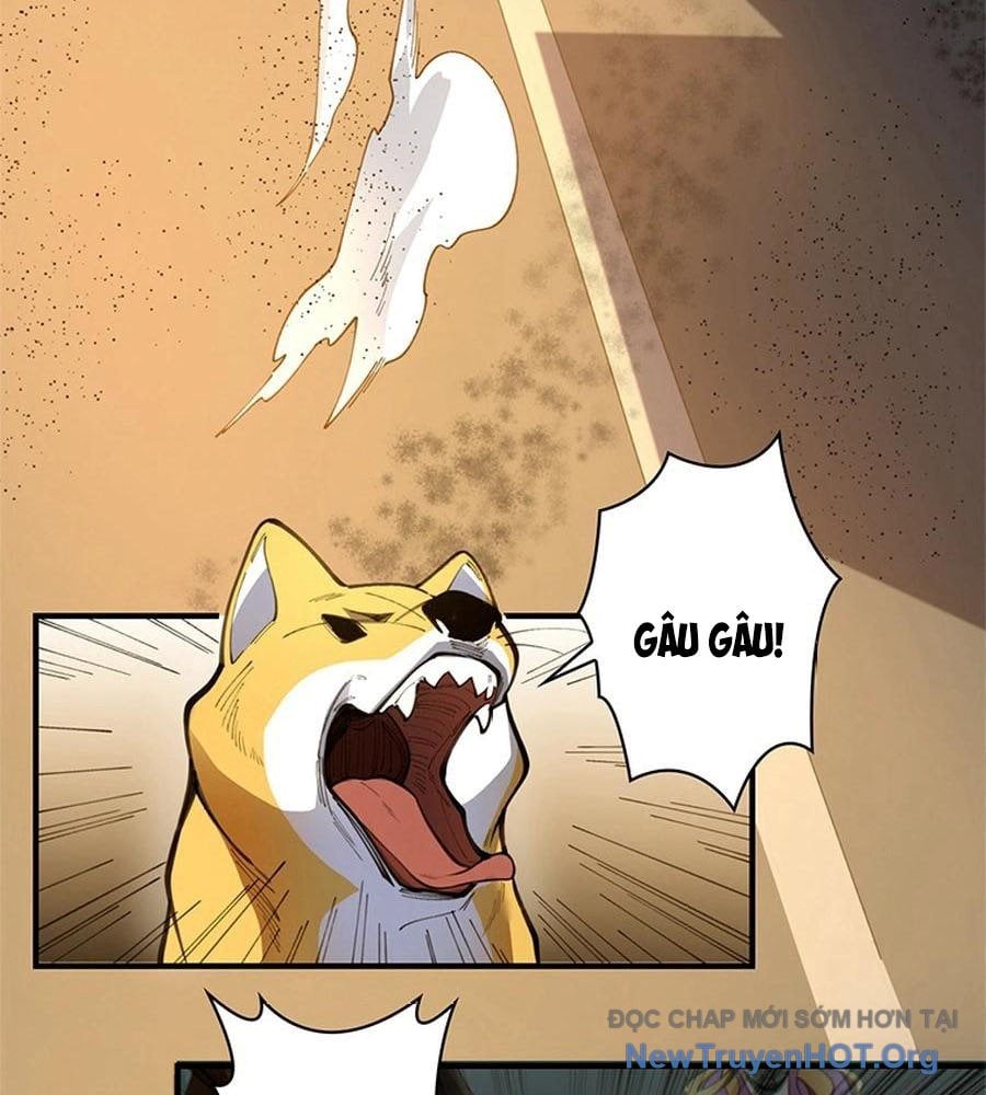 Ranker Sss Được Chọn: Chapter 9