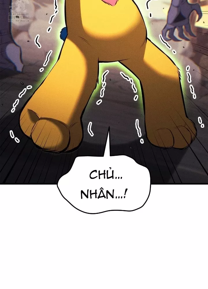 Ranker Tái Xuất: Chapter 204