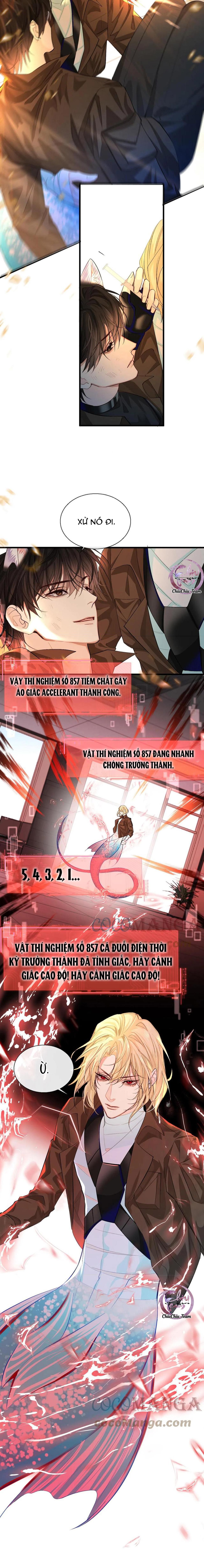 Rơi Vào Bẫy Nhân Ngư: Chapter 18