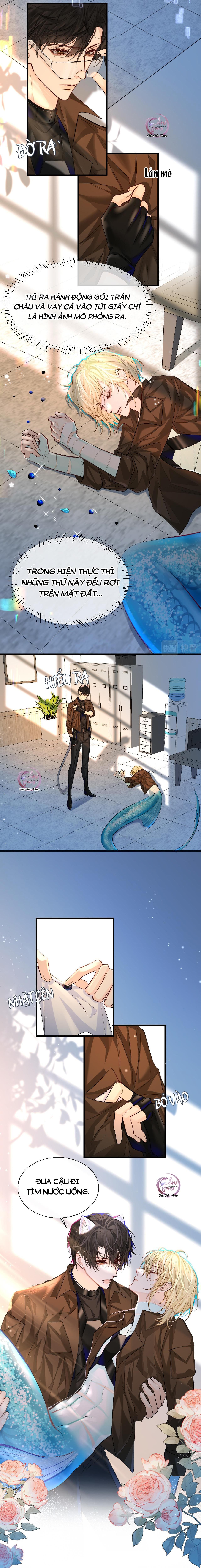 Rơi Vào Bẫy Nhân Ngư: Chapter 20