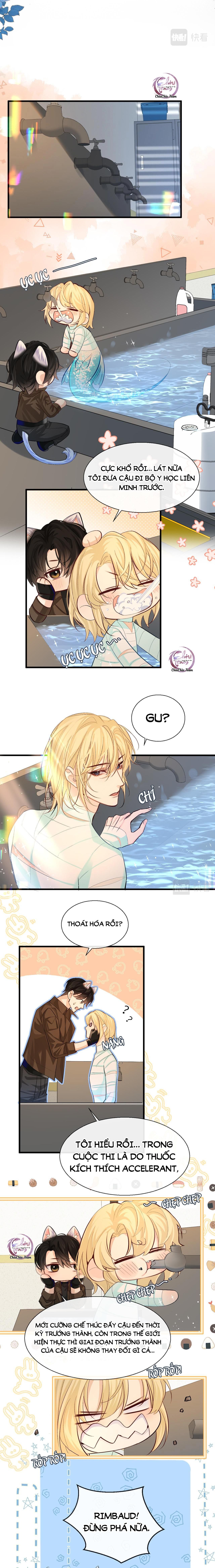 Rơi Vào Bẫy Nhân Ngư: Chapter 20