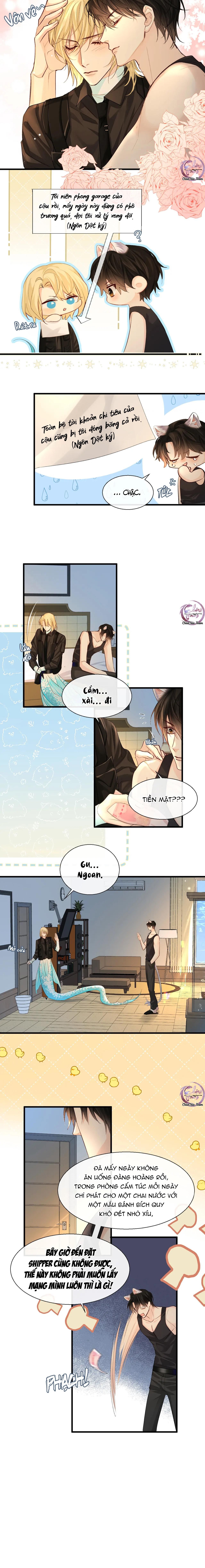 Rơi Vào Bẫy Nhân Ngư: Chapter 24