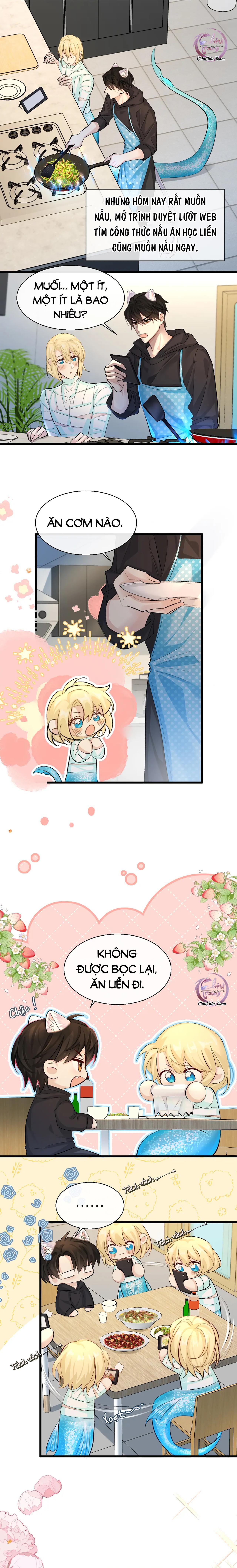Rơi Vào Bẫy Nhân Ngư: Chapter 27