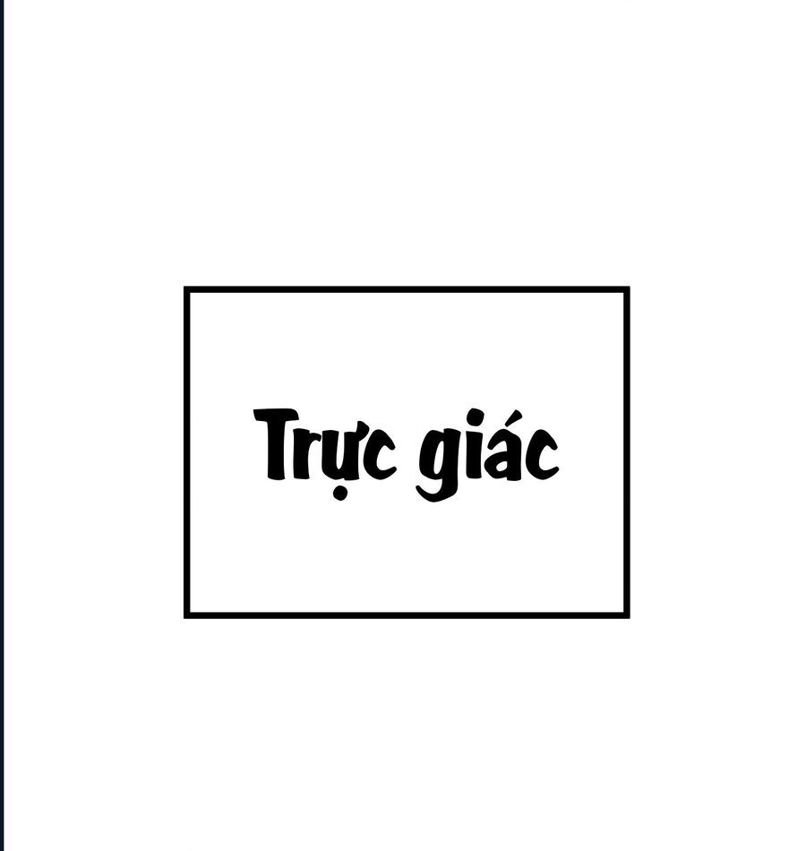 Roll Cake Món Ngon Khó Cưỡng: Chapter 2