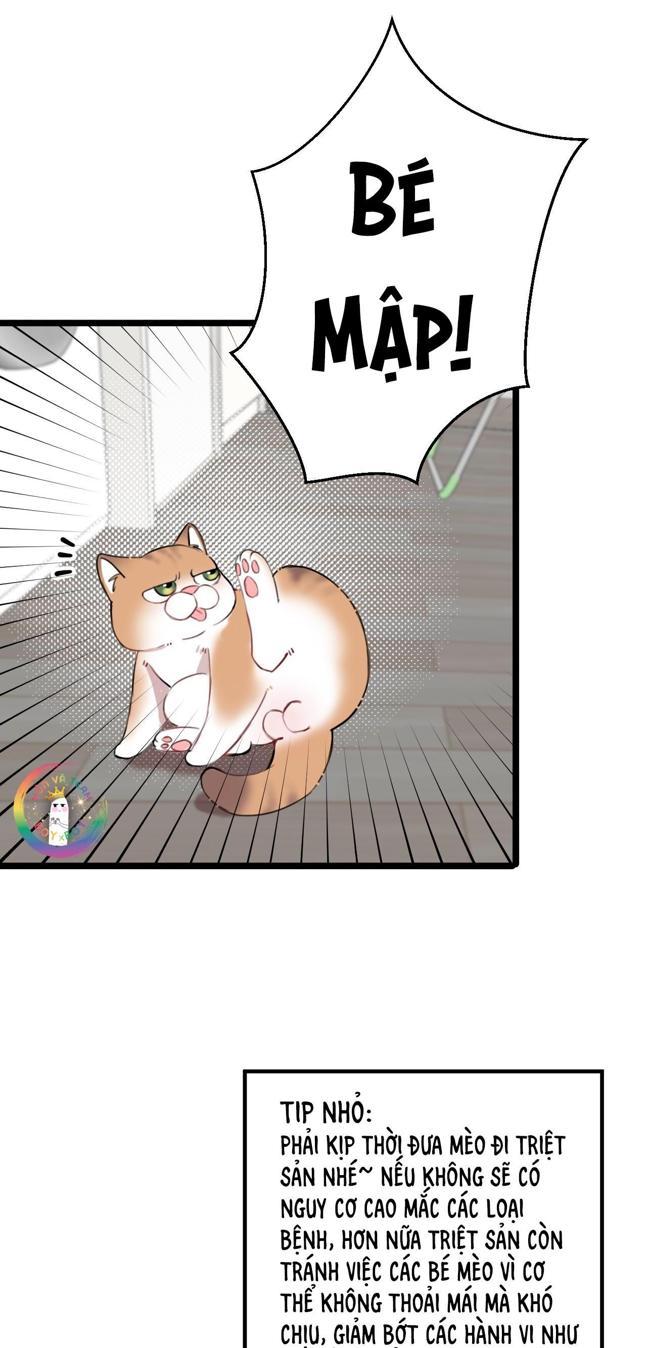 Rốt Cuộc Mèo Con Đang Nghĩ Gì Thế?: Chapter 14