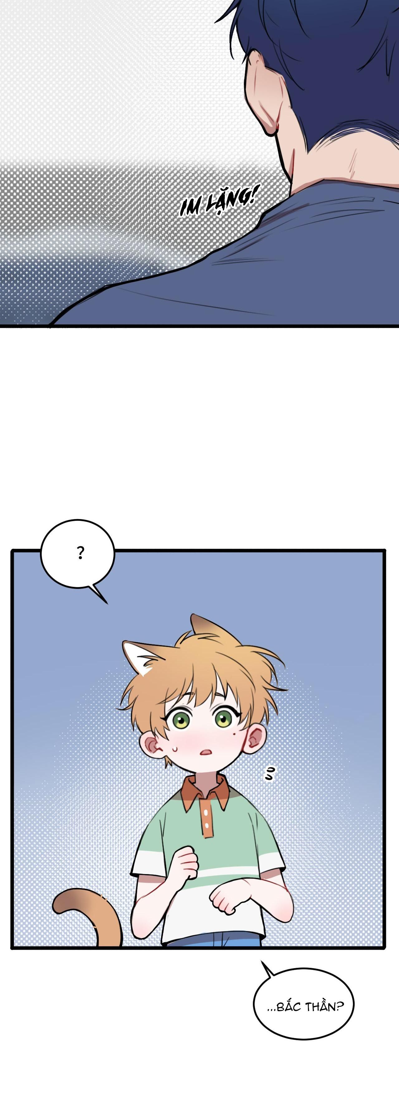 Rốt Cuộc Mèo Con Đang Nghĩ Gì Thế?: Chapter 15