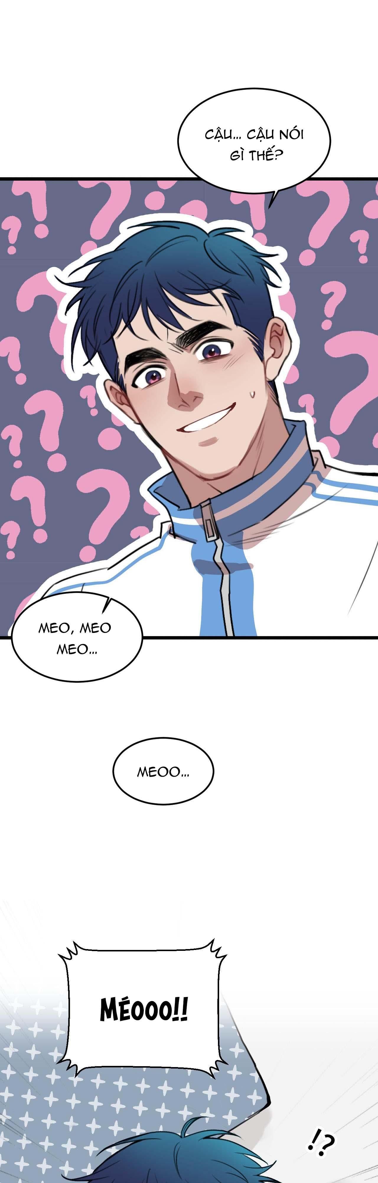 Rốt Cuộc Mèo Con Đang Nghĩ Gì Thế?: Chapter 17