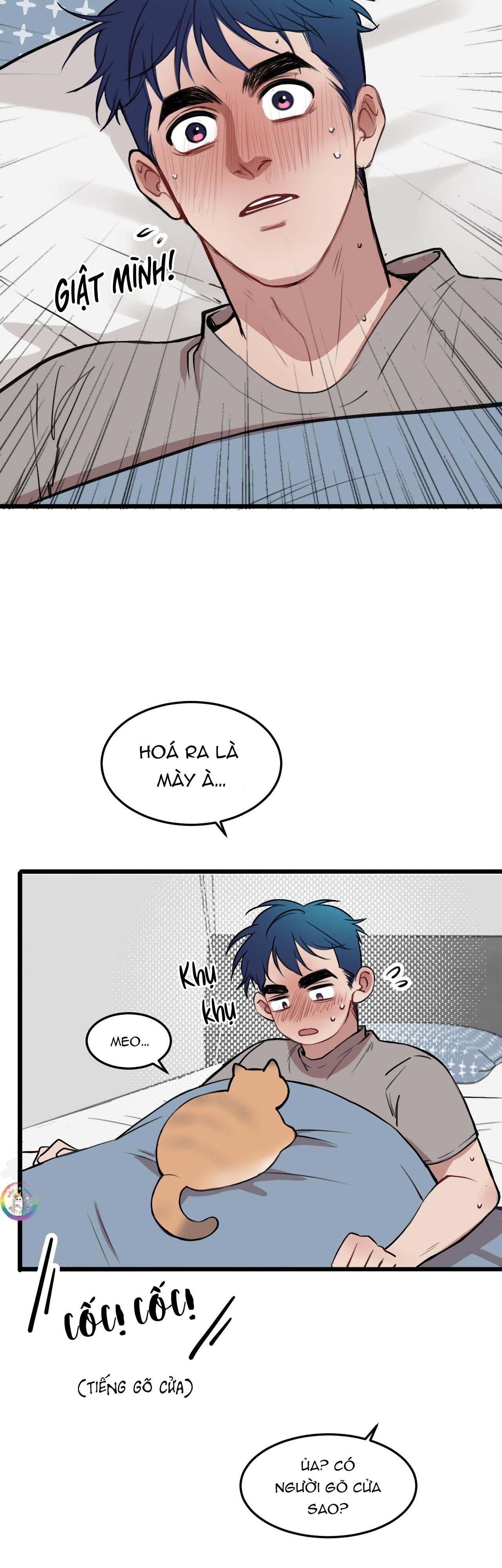Rốt Cuộc Mèo Con Đang Nghĩ Gì Thế?: Chapter 17