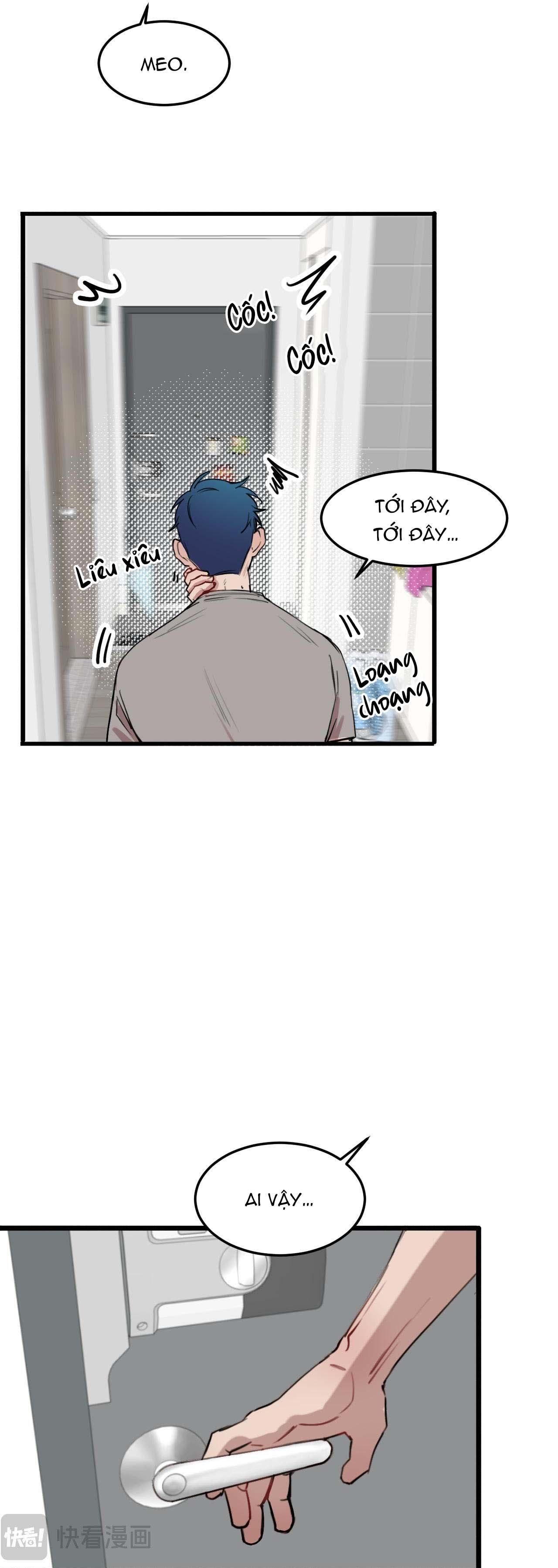 Rốt Cuộc Mèo Con Đang Nghĩ Gì Thế?: Chapter 17