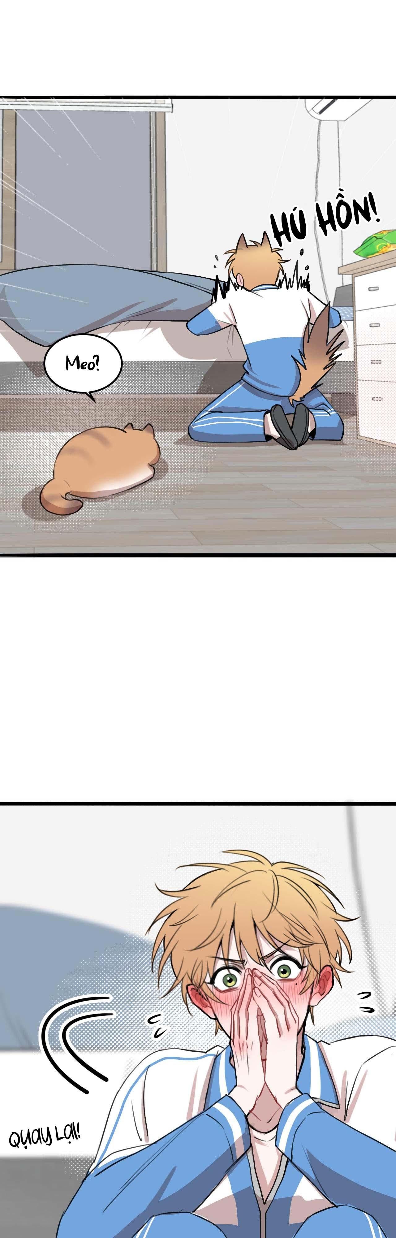 Rốt Cuộc Mèo Con Đang Nghĩ Gì Thế?: Chapter 17