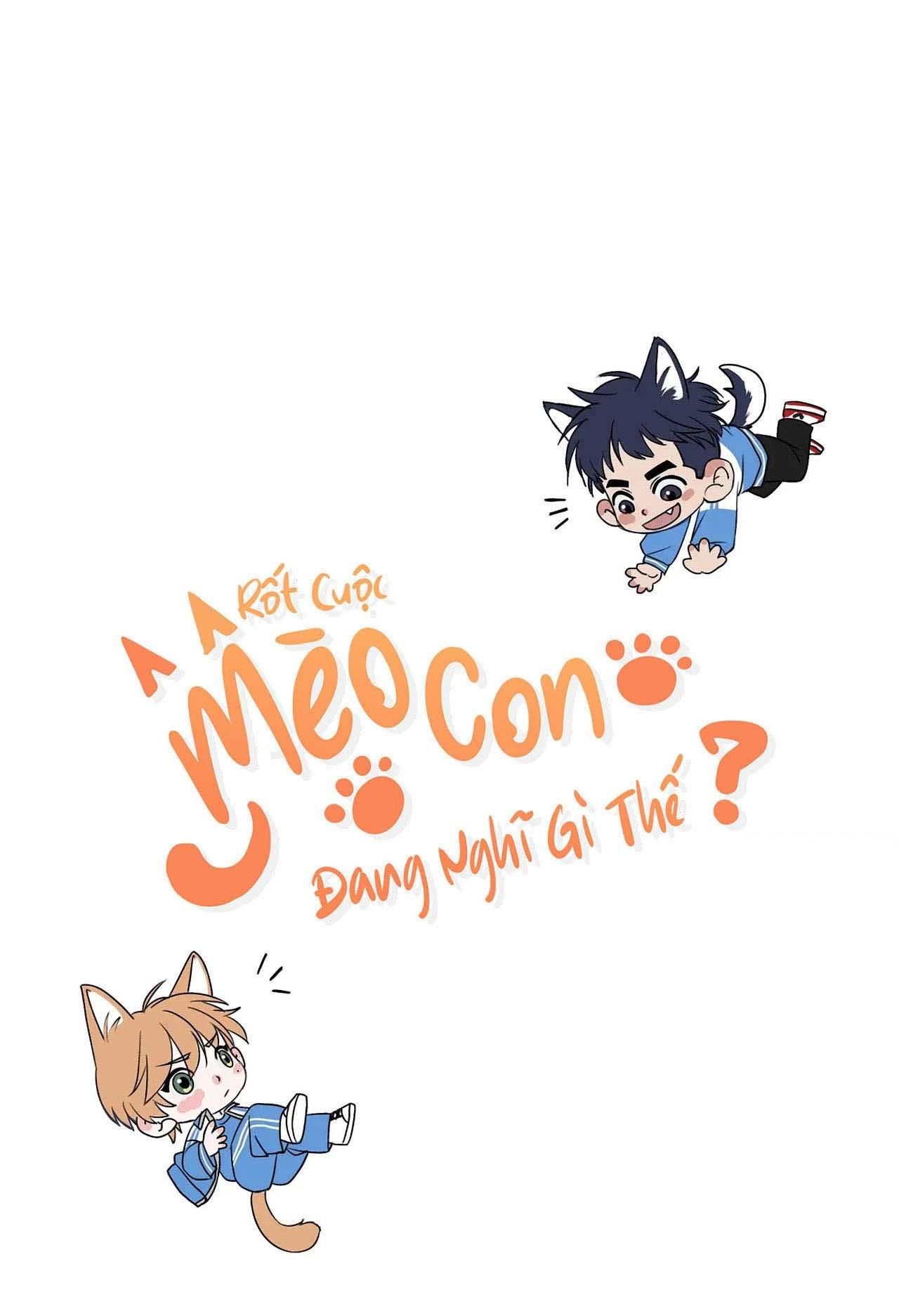 Rốt Cuộc Mèo Con Đang Nghĩ Gì Thế?: Chapter 17