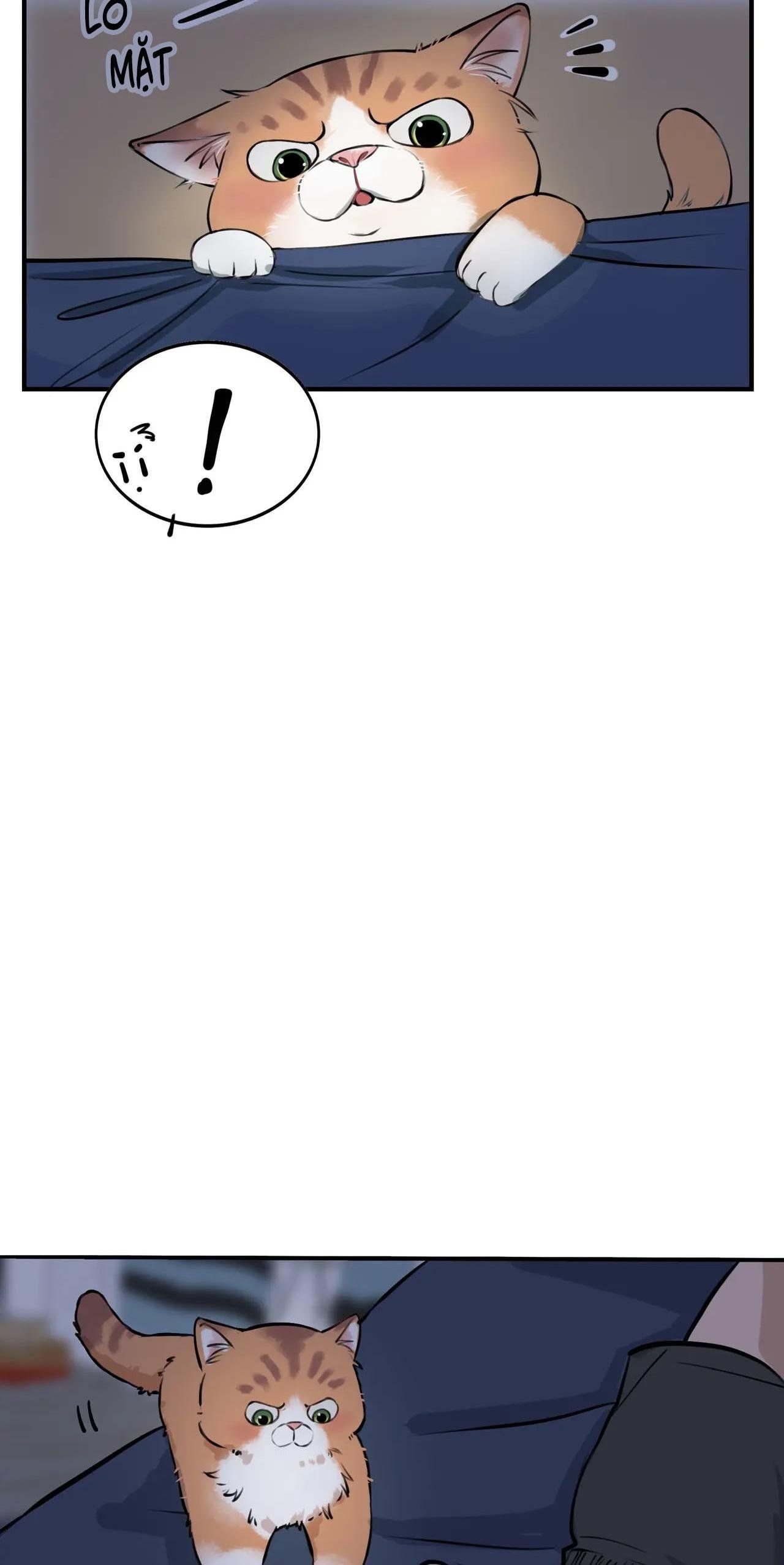 Rốt Cuộc Mèo Con Đang Nghĩ Gì Thế?: Chapter 4