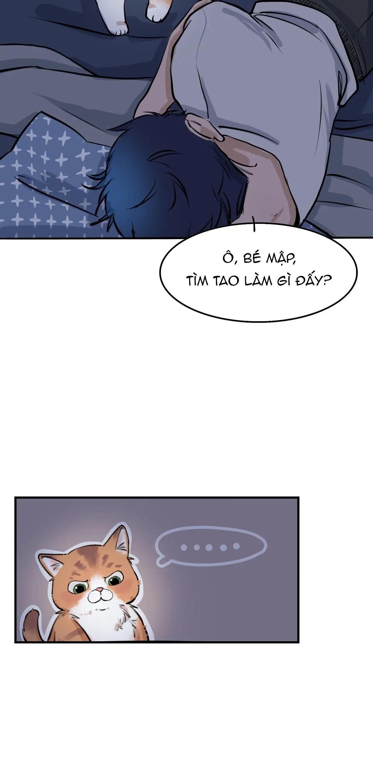 Rốt Cuộc Mèo Con Đang Nghĩ Gì Thế?: Chapter 4