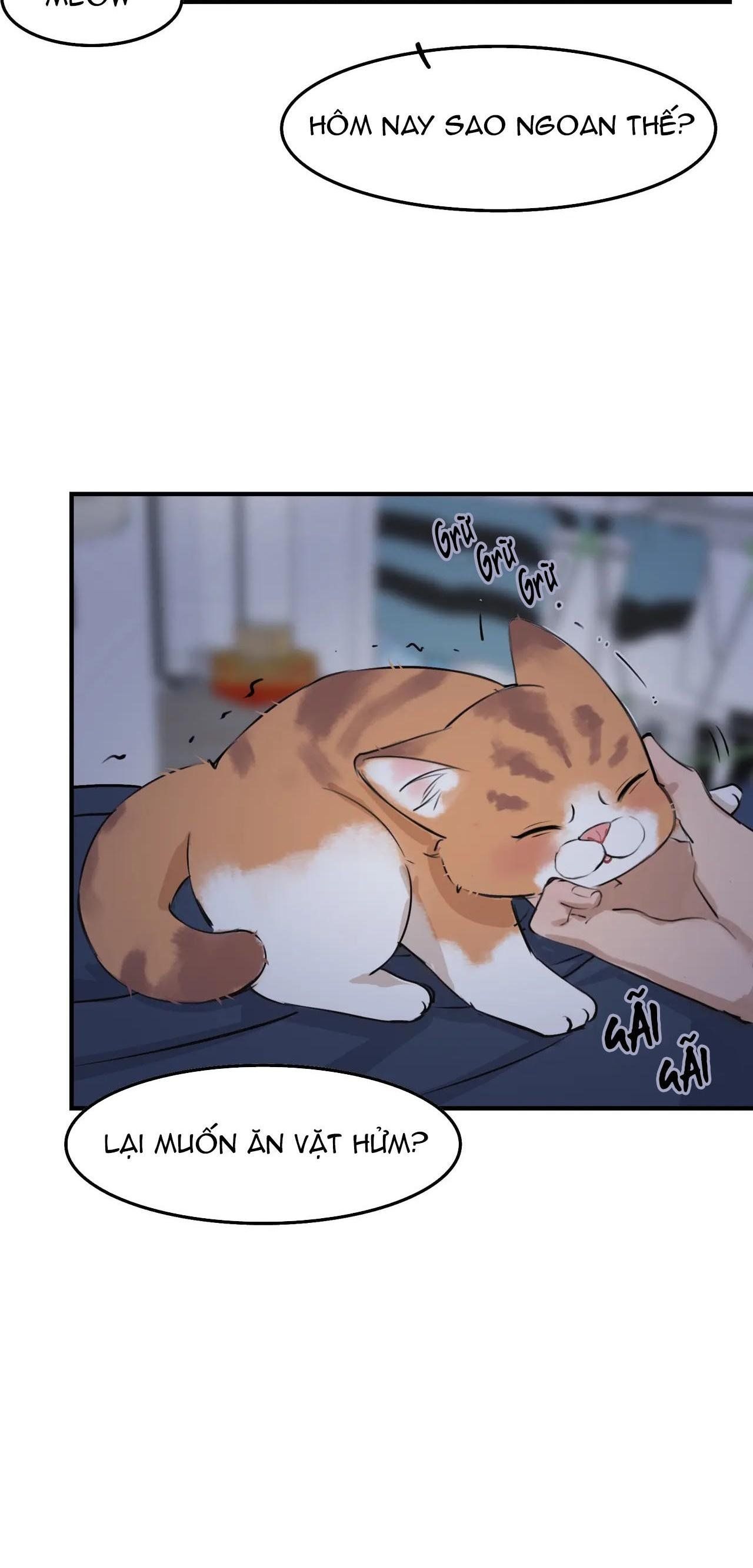 Rốt Cuộc Mèo Con Đang Nghĩ Gì Thế?: Chapter 4