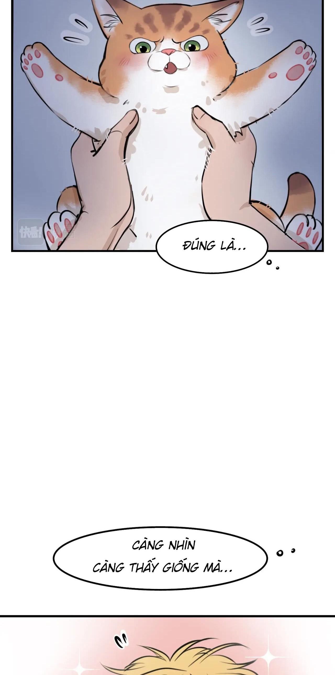 Rốt Cuộc Mèo Con Đang Nghĩ Gì Thế?: Chapter 4