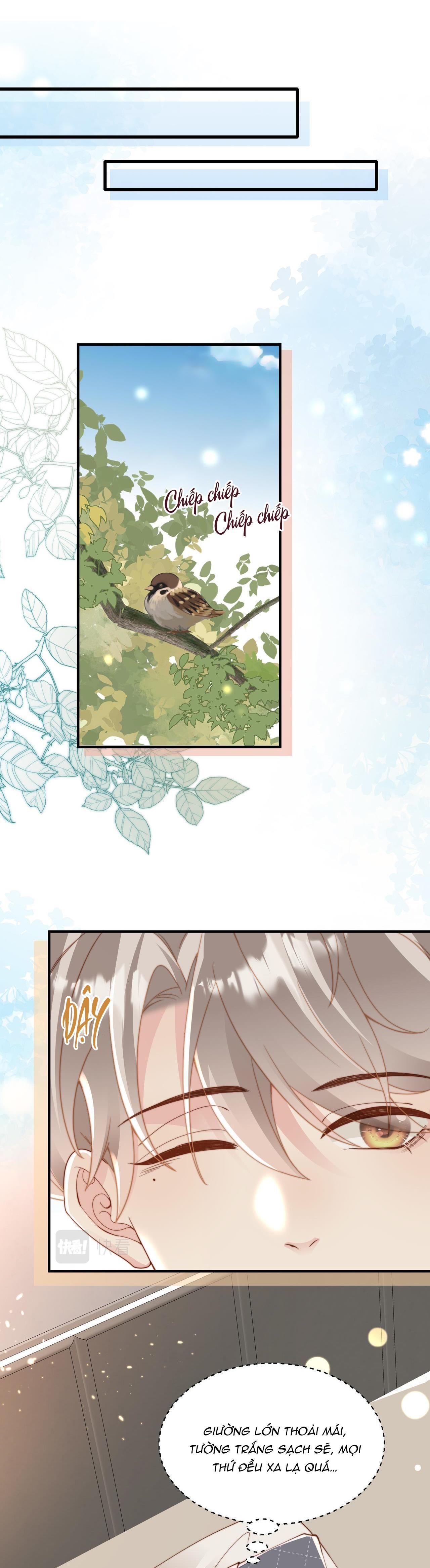 Sau Khi Giả Mất Trí Nhớ, Tình Địch Nói Tôi Là Bạn Trai Của Hắn: Chapter 16