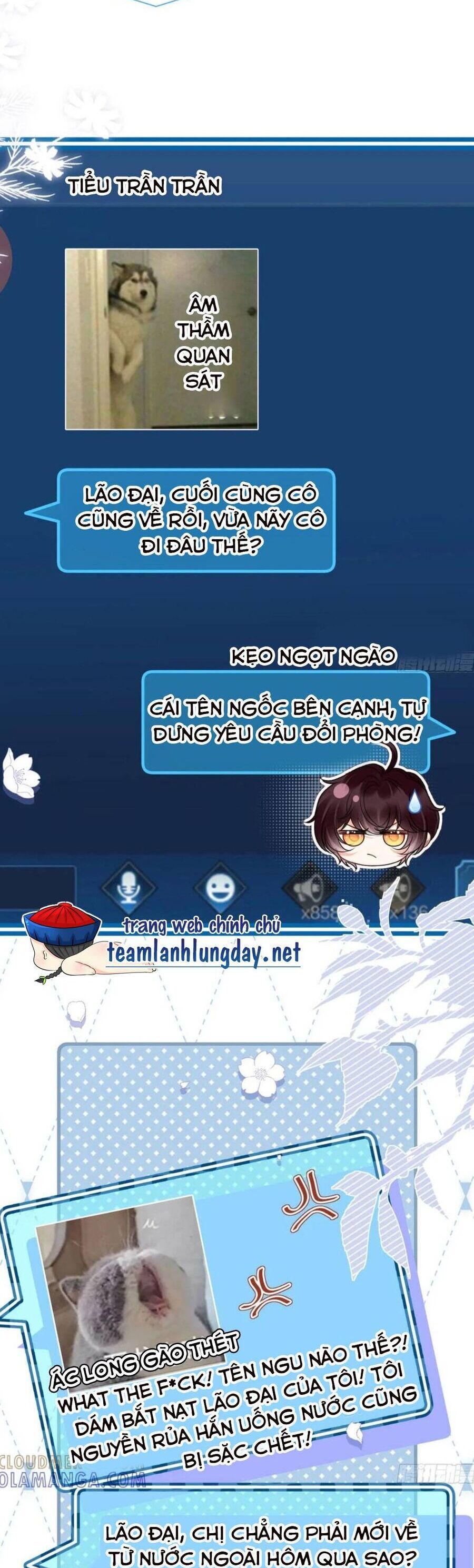 Sau Khi Hủy Hôn, Đại Lão Cô Ấy Vừa Xinh Đẹp Lại Ngầu Lòi: Chapter 13