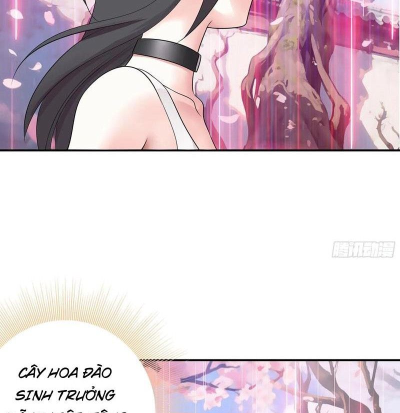 Sau Khi Mẹ Bị Giết, Tôi Trở Thành Miêu Nương: Chapter 29