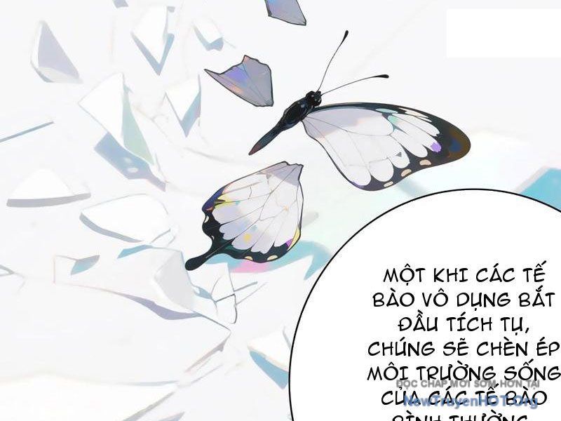 Sau Khi Mẹ Bị Giết, Tôi Trở Thành Miêu Nương: Chapter 40