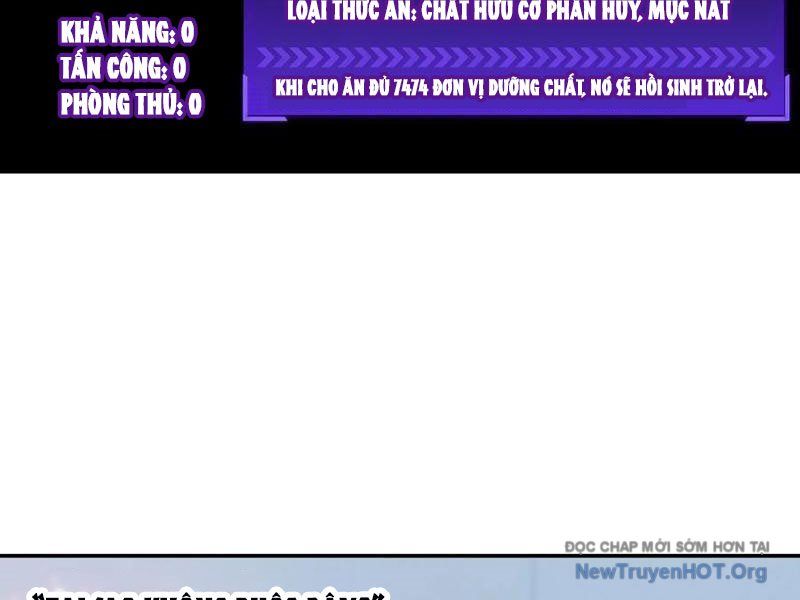 Sau Khi Mẹ Bị Giết, Tôi Trở Thành Miêu Nương: Chapter 40