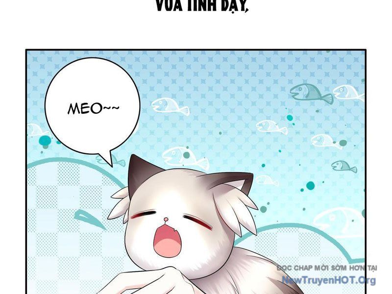 Sau Khi Mẹ Bị Giết, Tôi Trở Thành Miêu Nương: Chapter 41