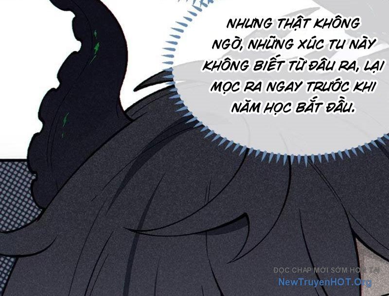 Sau Khi Ta Biến Thành Quái Vật Xúc Tu, Các Cô Ấy Càng Điên Cuồng Hơn!: Chapter 2