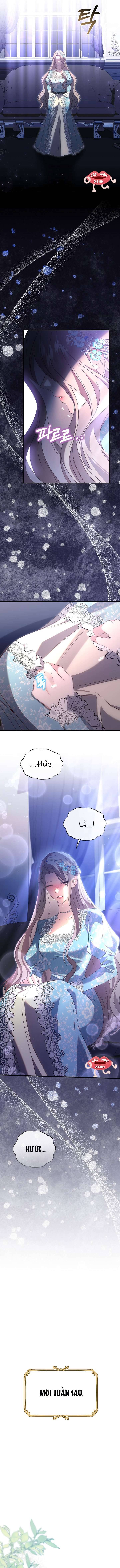 Sau Khi Trùng Sinh Chị Gái Muốn Cướp Lấy Vị Hôn Phu Của Tôi: Chapter 1