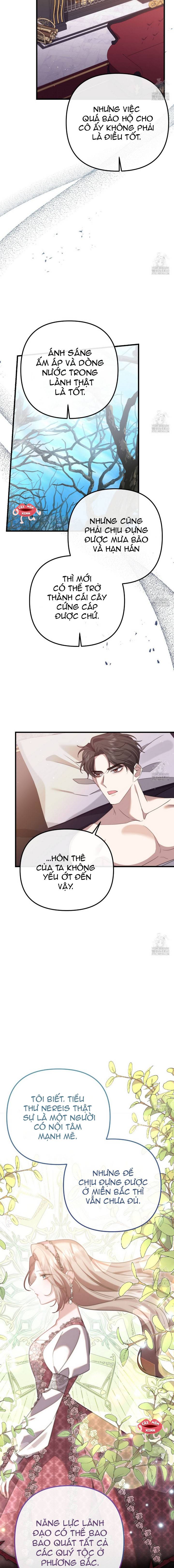 Sau Khi Trùng Sinh Chị Gái Muốn Cướp Lấy Vị Hôn Phu Của Tôi: Chapter 12