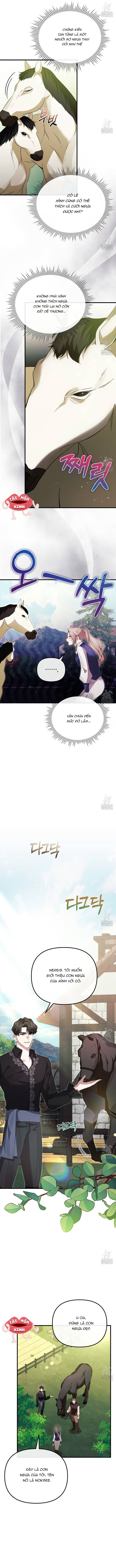 Sau Khi Trùng Sinh Chị Gái Muốn Cướp Lấy Vị Hôn Phu Của Tôi: Chapter 26