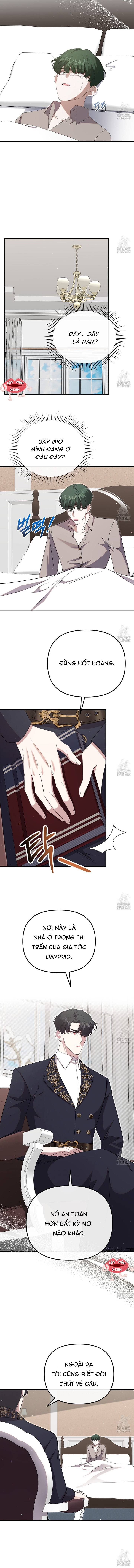 Sau Khi Trùng Sinh Chị Gái Muốn Cướp Lấy Vị Hôn Phu Của Tôi: Chapter 37