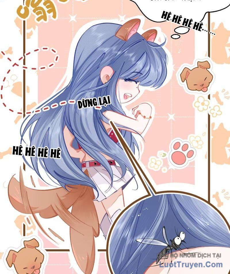 Sau Khi Xuyên Không Thành Thiên Kim Giả, Ta Lấy Lòng Thiên Kim Thật Sống Qua Ngày: Chapter 1