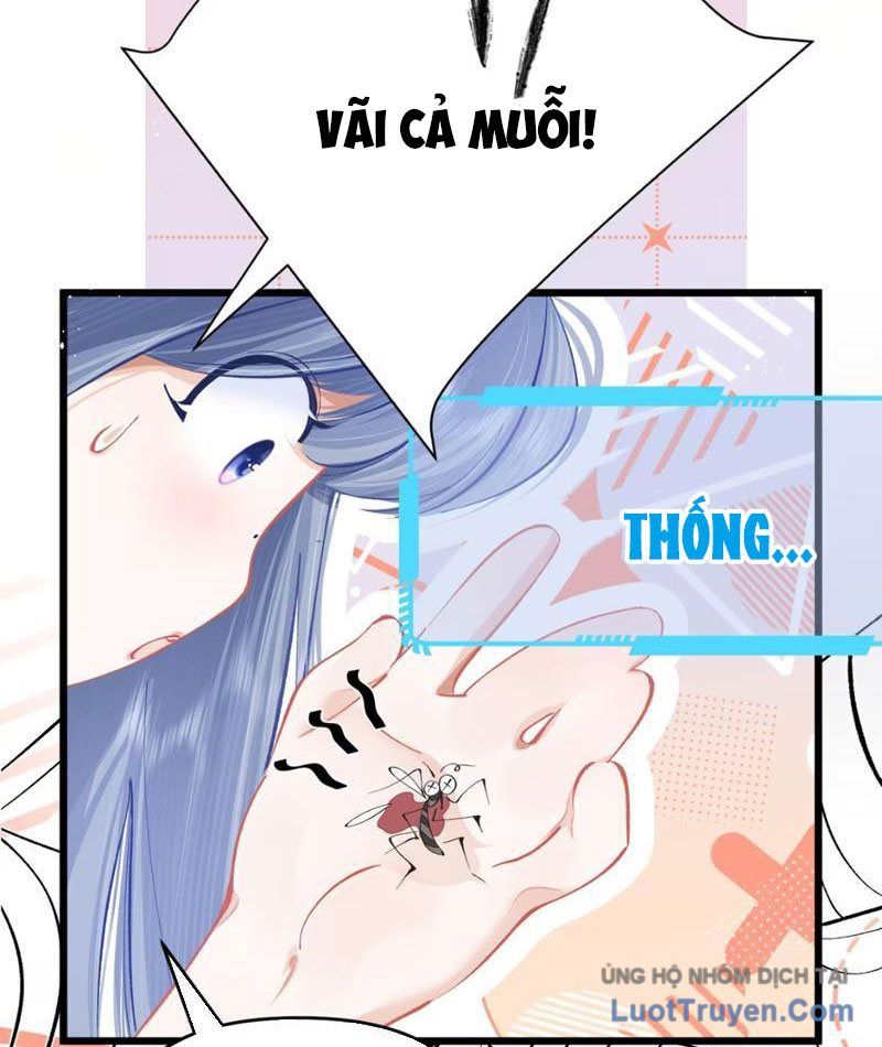 Sau Khi Xuyên Không Thành Thiên Kim Giả, Ta Lấy Lòng Thiên Kim Thật Sống Qua Ngày: Chapter 1
