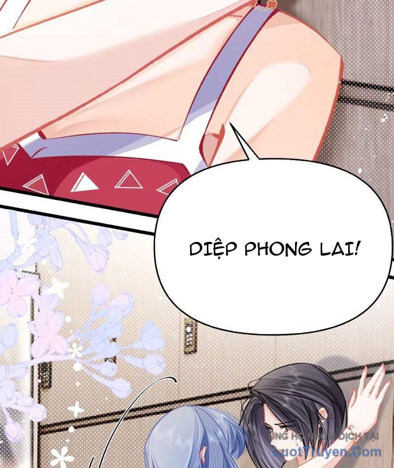 Sau Khi Xuyên Không Thành Thiên Kim Giả, Ta Lấy Lòng Thiên Kim Thật Sống Qua Ngày: Chapter 1