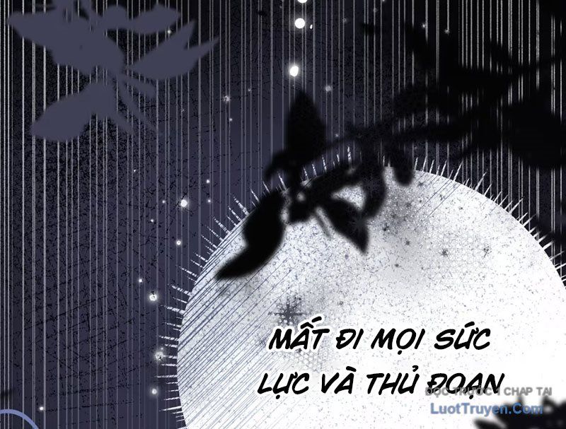 Sau Khi Xuyên Không Thành Thiên Kim Giả, Ta Lấy Lòng Thiên Kim Thật Sống Qua Ngày: Chapter 10