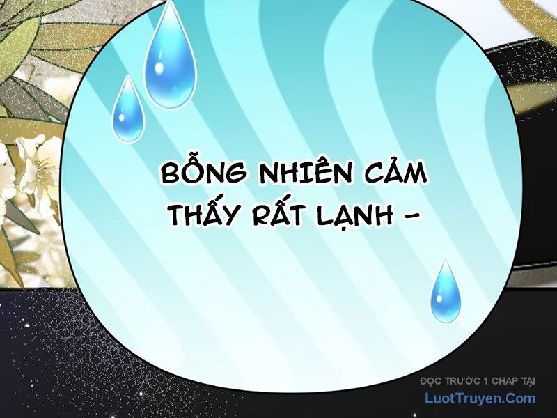 Sau Khi Xuyên Không Thành Thiên Kim Giả, Ta Lấy Lòng Thiên Kim Thật Sống Qua Ngày: Chapter 10
