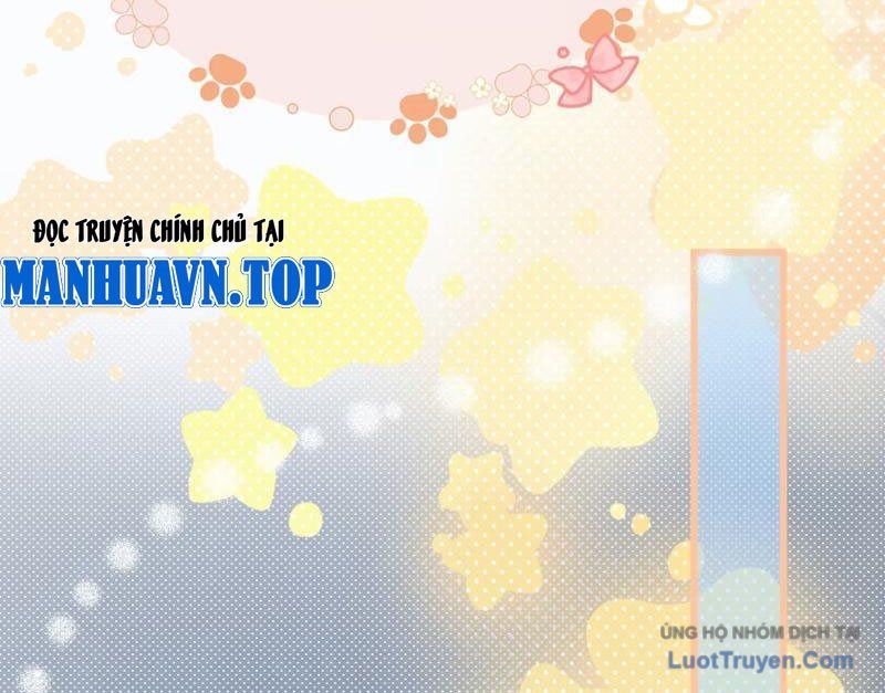 Sau Khi Xuyên Không Thành Thiên Kim Giả, Ta Lấy Lòng Thiên Kim Thật Sống Qua Ngày: Chapter 2
