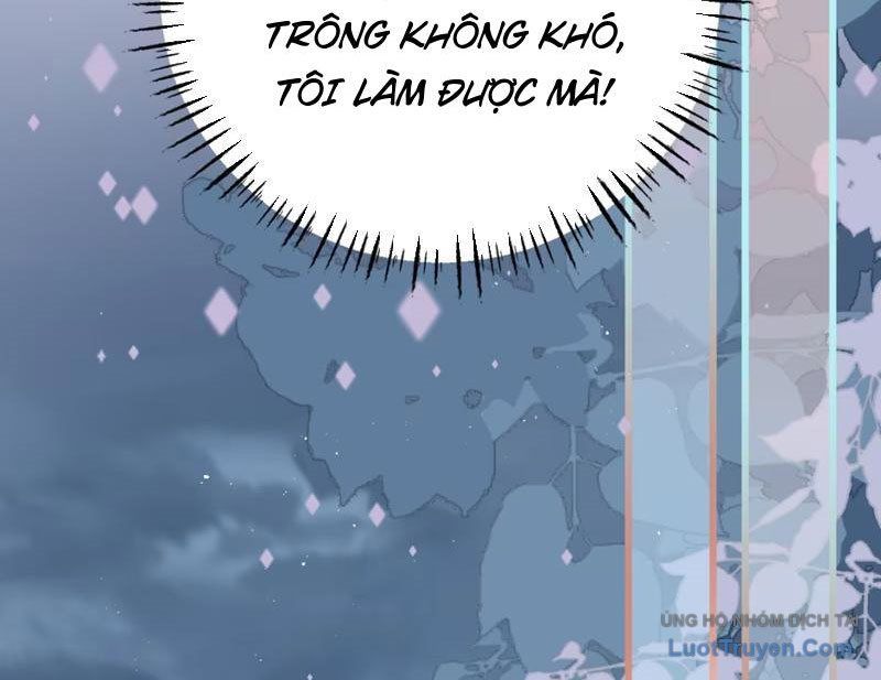 Sau Khi Xuyên Không Thành Thiên Kim Giả, Ta Lấy Lòng Thiên Kim Thật Sống Qua Ngày: Chapter 2