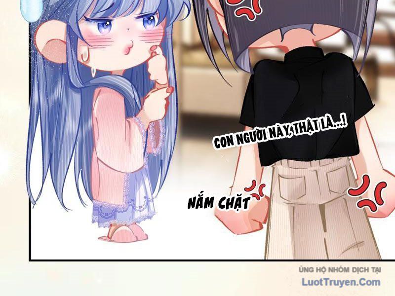 Sau Khi Xuyên Không Thành Thiên Kim Giả, Ta Lấy Lòng Thiên Kim Thật Sống Qua Ngày: Chapter 3