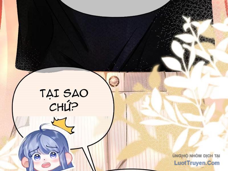 Sau Khi Xuyên Không Thành Thiên Kim Giả, Ta Lấy Lòng Thiên Kim Thật Sống Qua Ngày: Chapter 3