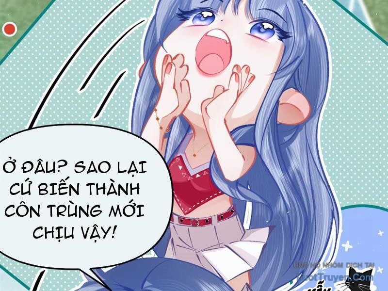 Sau Khi Xuyên Không Thành Thiên Kim Giả, Ta Lấy Lòng Thiên Kim Thật Sống Qua Ngày: Chapter 3