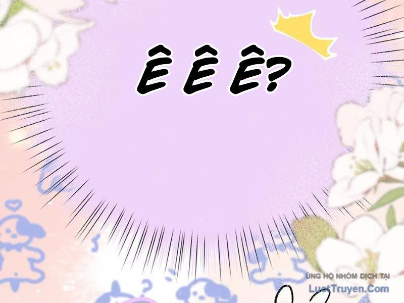 Sau Khi Xuyên Không Thành Thiên Kim Giả, Ta Lấy Lòng Thiên Kim Thật Sống Qua Ngày: Chapter 5
