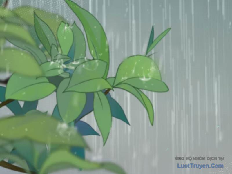 Sau Khi Xuyên Không Thành Thiên Kim Giả, Ta Lấy Lòng Thiên Kim Thật Sống Qua Ngày: Chapter 5