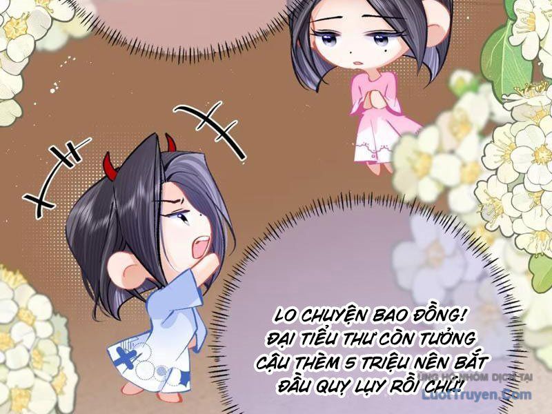 Sau Khi Xuyên Không Thành Thiên Kim Giả, Ta Lấy Lòng Thiên Kim Thật Sống Qua Ngày: Chapter 5