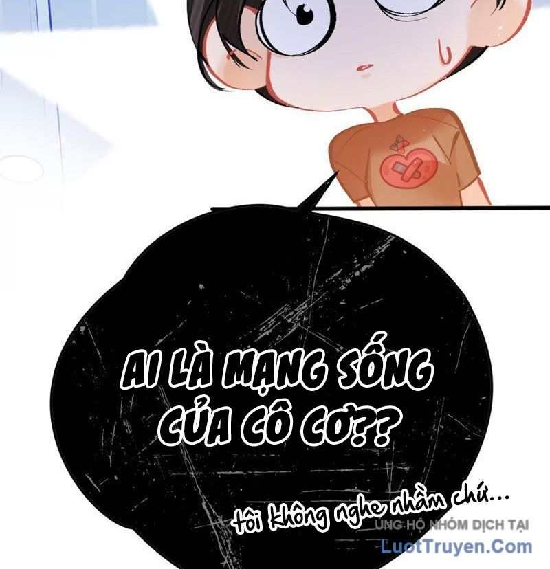 Sau Khi Xuyên Không Thành Thiên Kim Giả, Ta Lấy Lòng Thiên Kim Thật Sống Qua Ngày: Chapter 6