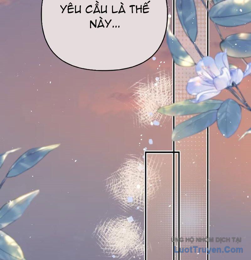 Sau Khi Xuyên Không Thành Thiên Kim Giả, Ta Lấy Lòng Thiên Kim Thật Sống Qua Ngày: Chapter 6
