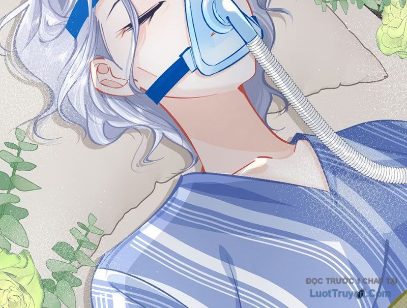 Sau Khi Xuyên Không Thành Thiên Kim Giả, Ta Lấy Lòng Thiên Kim Thật Sống Qua Ngày: Chapter 8