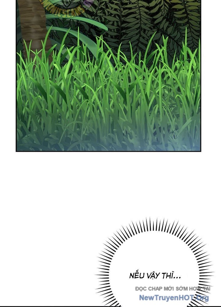 Stream Của Cung Thủ Thiên Tài: Chapter 77