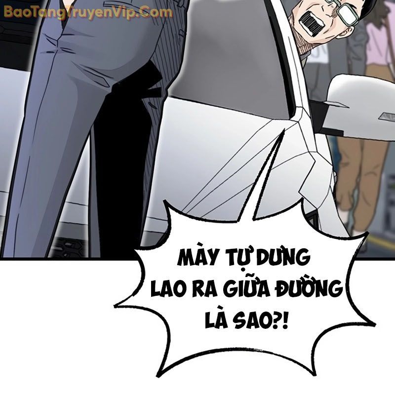 Sự Bí Ẩn Của Học Sinh Chuyển Trường: Chapter 0