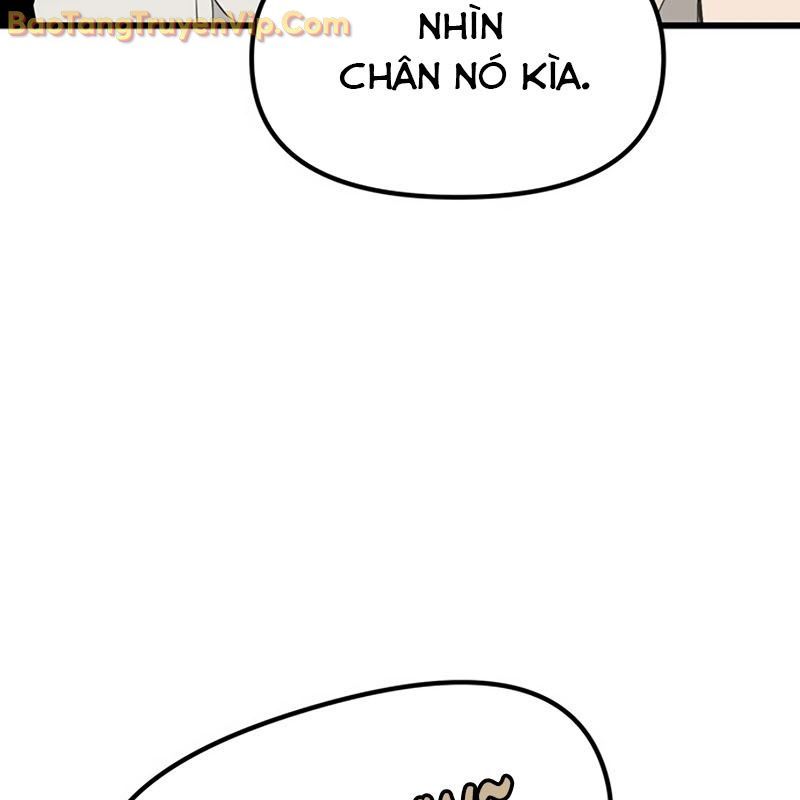 Sự Bí Ẩn Của Học Sinh Chuyển Trường: Chapter 0